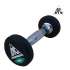 Гантели 1кг DFC POWERGYM (пара) Гантели 1кг DFC POWERGYM (пара)