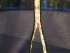 Батут с сеткой Winner Classic 10 ft (305 см) Батут с сеткой Winner Classic 10 ft (305 см)