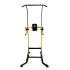 Турник - брусья Power Tower DFC Homegym G008Y Турник - брусья Power Tower DFC Homegym G008Y