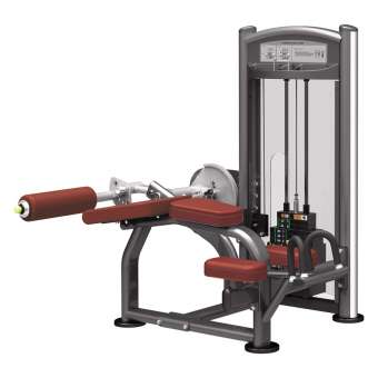 Сгибание ног лежа AeroFit IT9321