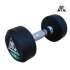 Гантели пара 6кг DFC POWERGYM DB002-6 Гантели пара 6кг DFC POWERGYM DB002-6