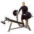 Скамья для отрицательного жима Body-Solid  PRO CLUB LINE SDB351G