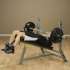 Скамья для отрицательного жима Body-Solid  PRO CLUB LINE SDB351G