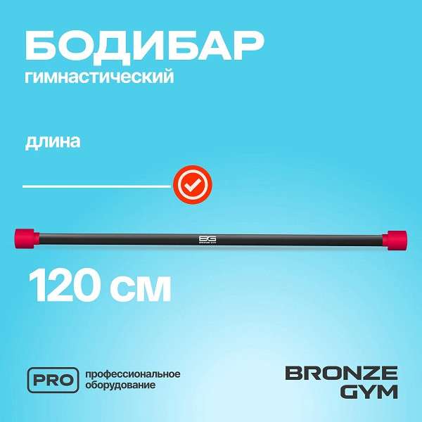 BRONZE GYM БОДИБАР 4 кг BRONZE GYM БОДИБАР 4 кг